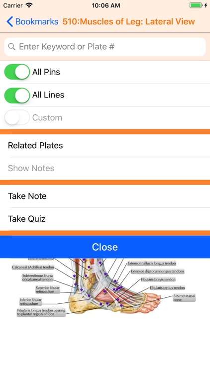 Netter's Anatomy Atlas 7e