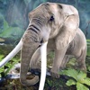 Elephant Chaos Game . Elephants Fun Run Games Pro