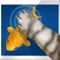Cat Simulator Fisherman