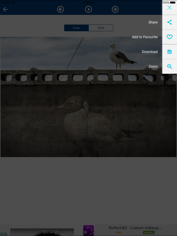 Screenshot #6 pour Wall Murals