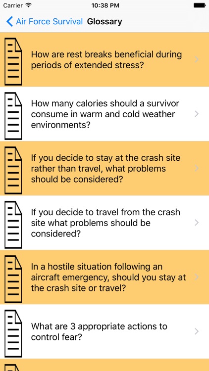 Air Force Survival Guide