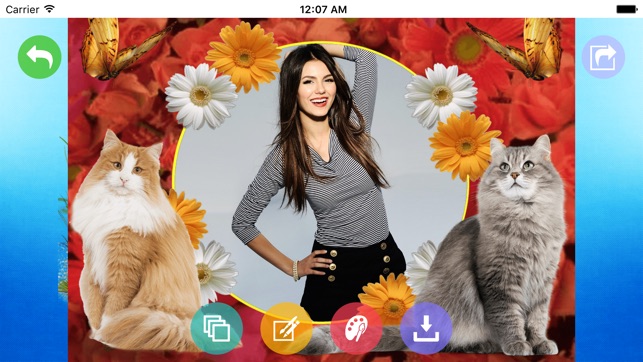 Cat Photo Frames(圖2)-速報App