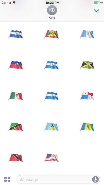 North America Flags