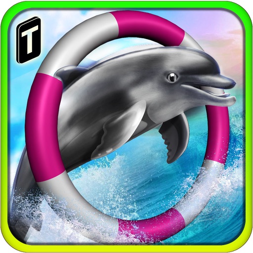 Dolphin Racing 3D Icon