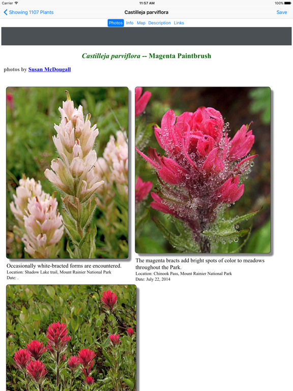 Screenshot #6 pour Mt Rainier Wildflowers