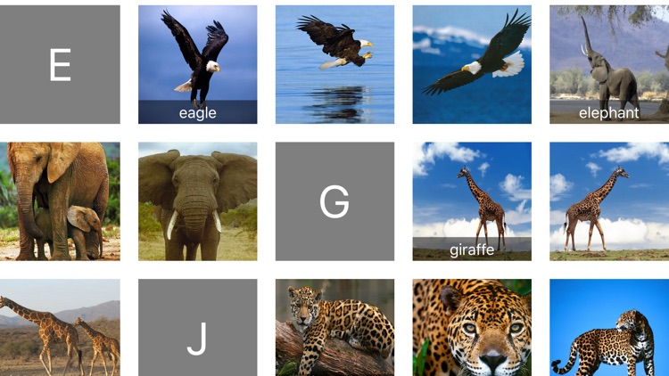 Free Animal Sounds for Baby