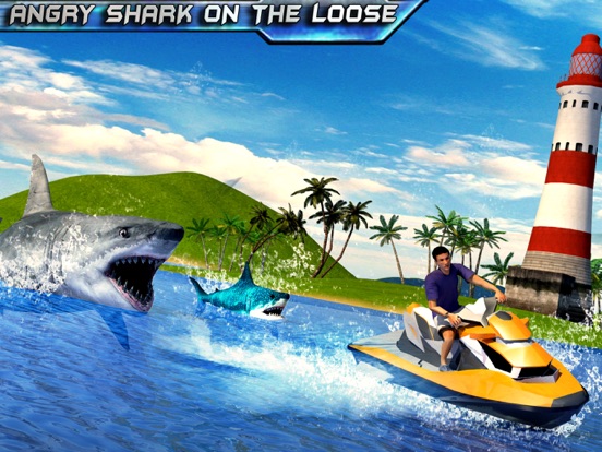 Shark Sniping 2017