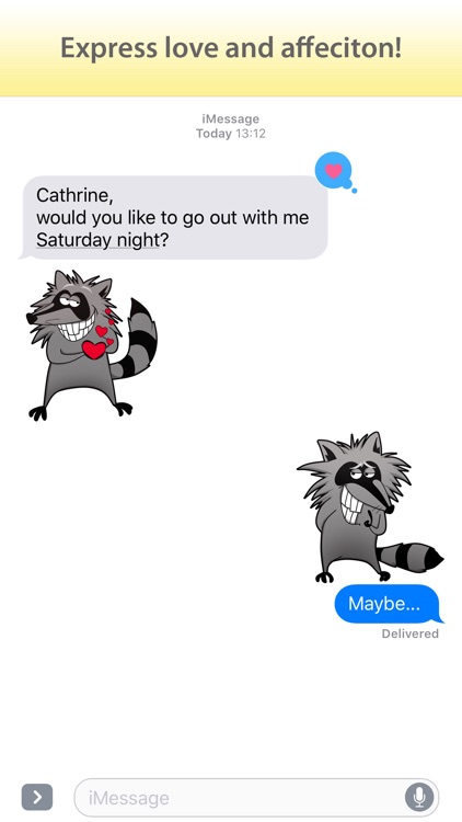 Raccoon