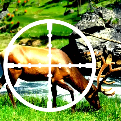 A Deer Target - You Are The Best Hunter icon
