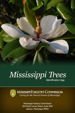 Mississippi Treesのおすすめ画像1