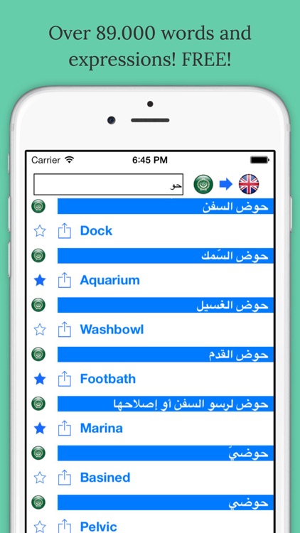 Offline English Arabic Dictionary with Voice