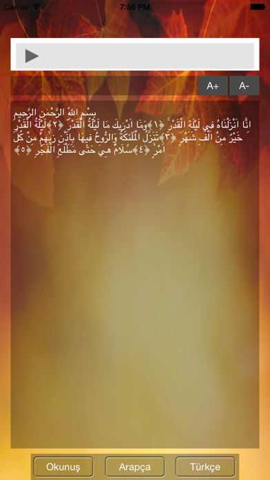 Screenshot #3 pour Kadir Suresi