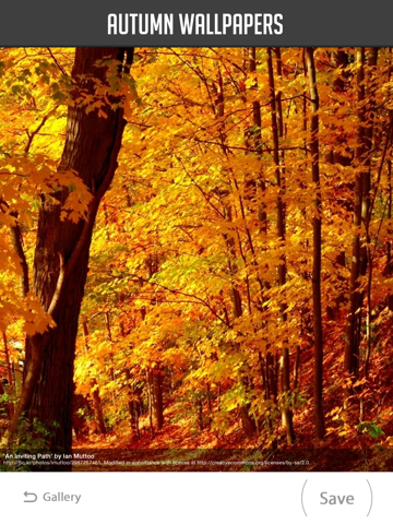 Screenshot #6 pour Autumn Wallpapers