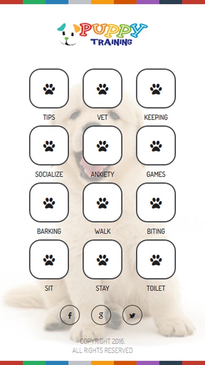 Puppy Training tips and tricks