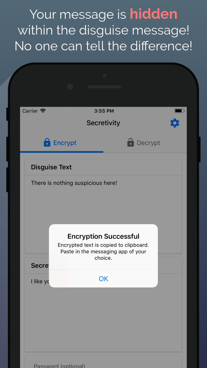 Secretivity – Lock & Hide Text screenshot 2