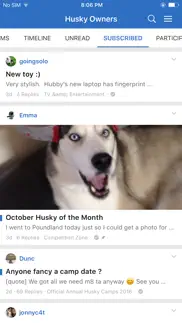 husky owners iphone screenshot 2