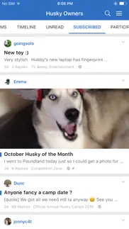 husky owners iphone resimleri 2