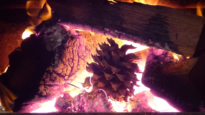 Screenshot #3 pour Real Fireplaces HD