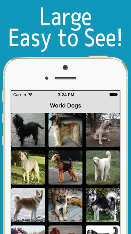 World Dogs!