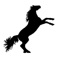 Try to put the white horses at the place of the black horses and VICE VERSA by doing the typical "L" move like in chess