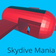 Activities of SkydiveMania