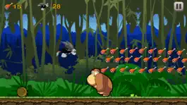 Game screenshot Superfly Rainforest Animals In Monkey King Jungle apk