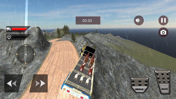 Animal Transporting Truck 2018