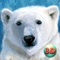 Explore the pole as a bear in Wild White Polar Bear Simulator