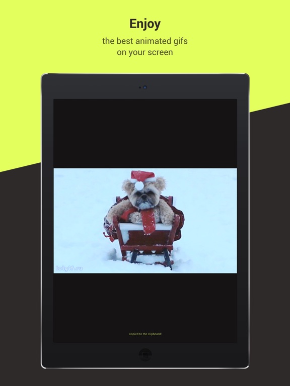 Screenshot #6 pour Gifster - Discover and share animated gifs