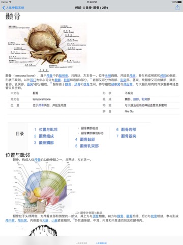 人类器官系统|人体骨骼构造大全のおすすめ画像3