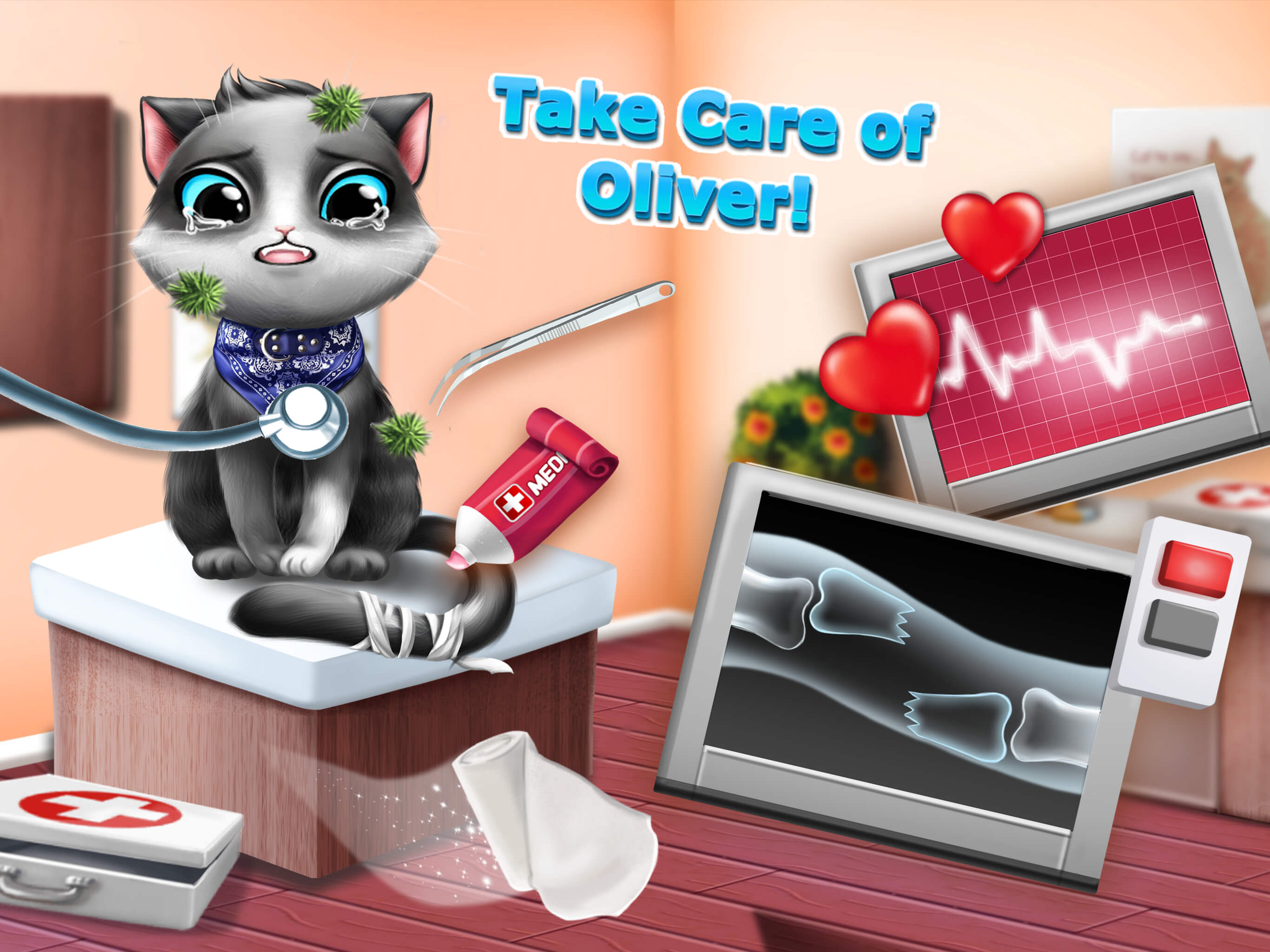 Sweet Baby Girl Cat Shelter – Pet Vet Doctor Care