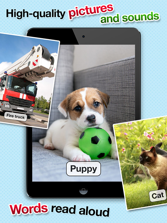 Screenshot #5 pour Toddler Learning Flashcards Games & Animal Sounds