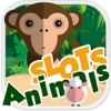 Absolute Casino Slots: Spin Slot Animals Machine