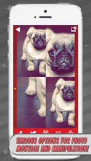 mirror reflection photo editor–blend & split pics iphone screenshot 2