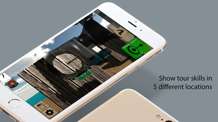 Daryl - Archery competition Pro screenshot-3