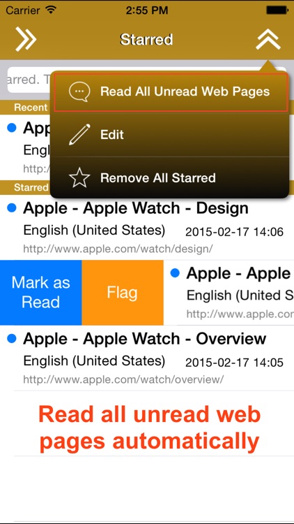 Translate 2 for Safari - Translate & Speak Web screenshot-4