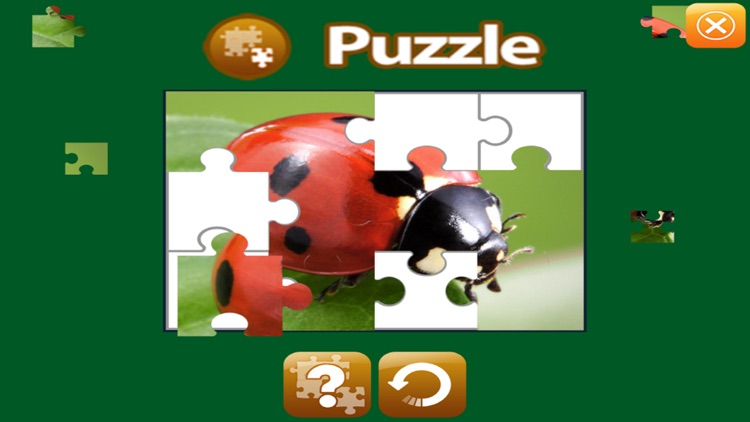 MY BUG - Augmented Reality screenshot-3