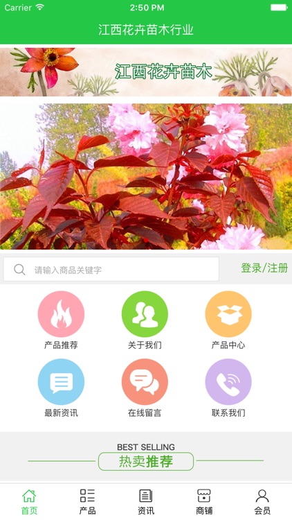 江西花卉苗木行业