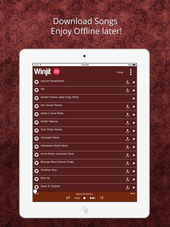 Screenshot #5 pour Rabindra Sangeet Songs