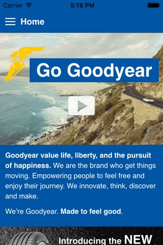 Go Goodyear screenshot 2