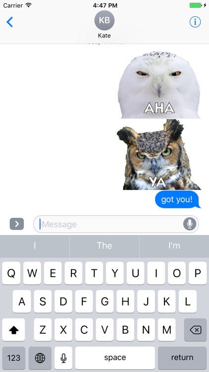 Talking Owl Sticker for iMessage screenshot-3