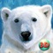 Wild White Polar Bear Simulator Full