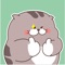 Chubby Cat Animated Stickers