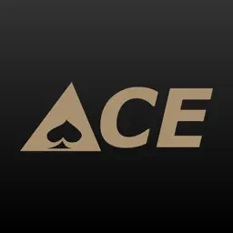 Ace Auto Parts - St. Paul, MN app icon