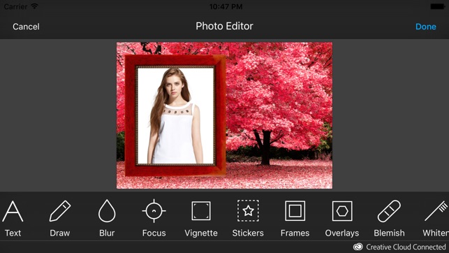 All Season Photo Frames(圖5)-速報App