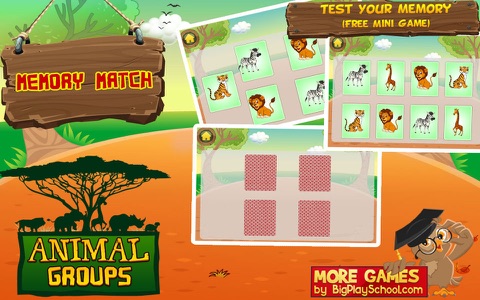 Animal Groups - Learn Animals screenshot 4