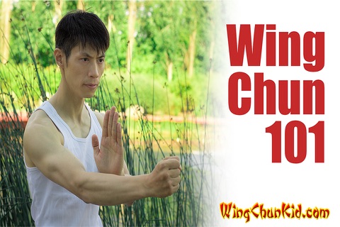 Wing Chun Kung Fu - Y-ip Man 3 Striking Style screenshot 4