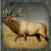 Elk Hunting Calls App Feedback