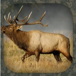 Download Elk Hunting Calls app