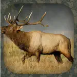 Elk Hunting Calls App Cancel